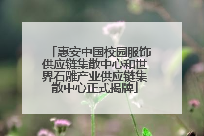 惠安中国校园服饰供应链集散中心和世界石雕产业供应链集散中心正式揭牌