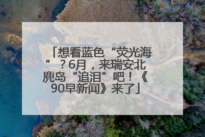 想看蓝色“荧光海”？6月，来瑞安北麂岛“追泪”吧！《90早新闻》来了