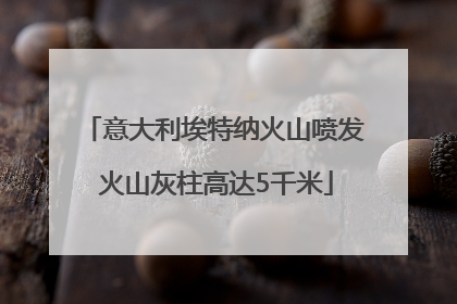 意大利埃特纳火山喷发 火山灰柱高达5千米