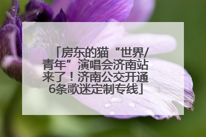 房东的猫“世界/青年”演唱会济南站来了！济南公交开通6条歌迷定制专线
