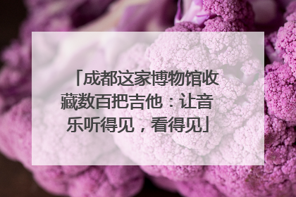 成都这家博物馆收藏数百把吉他：让音乐听得见，看得见