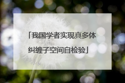 我国学者实现真多体纠缠子空间自检验