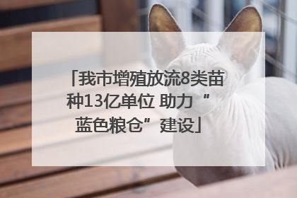 我市增殖放流8类苗种13亿单位 助力“蓝色粮仓”建设