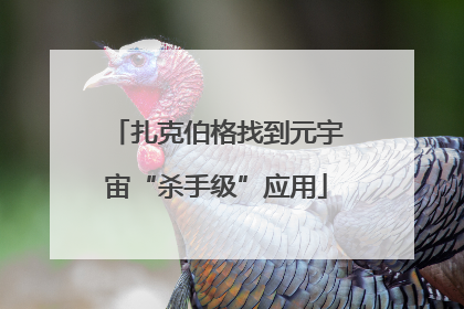 扎克伯格找到元宇宙“杀手级”应用