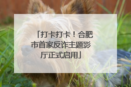 打卡打卡！合肥市首家反诈主题影厅正式启用