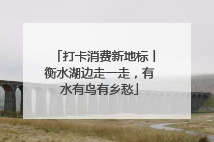 打卡消费新地标丨衡水湖边走一走，有水有鸟有乡愁