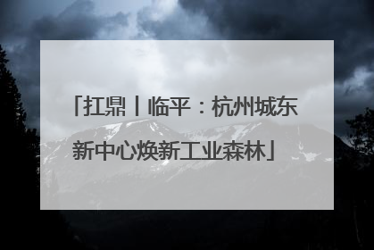 扛鼎丨临平：杭州城东新中心焕新工业森林