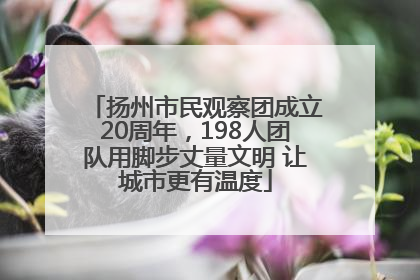扬州市民观察团成立20周年，198人团队用脚步丈量文明 让城市更有温度