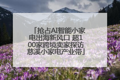 抢占AI智能小家电出海新风口 超100家跨境卖家探访慈溪小家电产业带