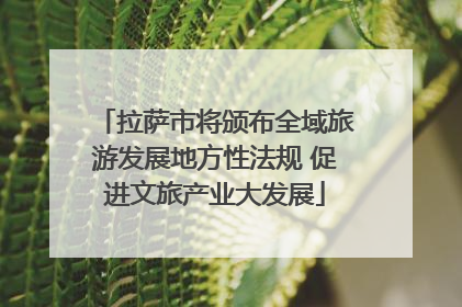 拉萨市将颁布全域旅游发展地方性法规 促进文旅产业大发展