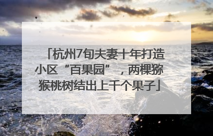 杭州7旬夫妻十年打造小区“百果园”，两棵猕猴桃树结出上千个果子