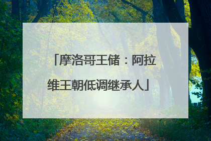 摩洛哥王储：阿拉维王朝低调继承人