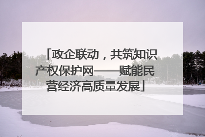 政企联动，共筑知识产权保护网——赋能民营经济高质量发展