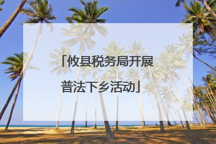攸县税务局开展普法下乡活动