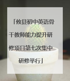 攸县初中英语骨干教师能力提升研修项目第七次集中研修举行
