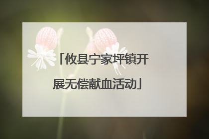 攸县宁家坪镇开展无偿献血活动