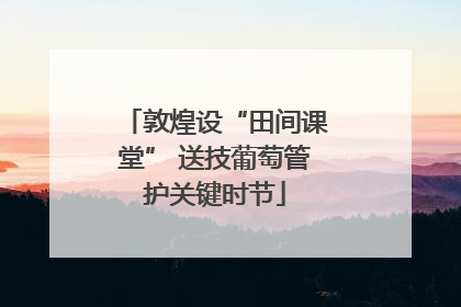 敦煌设“田间课堂” 送技葡萄管护关键时节