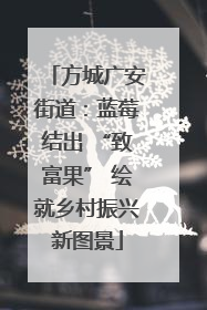 方城广安街道：蓝莓结出 “致富果” 绘就乡村振兴新图景