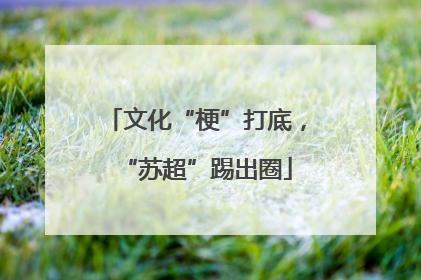 文化“梗”打底，“苏超”踢出圈