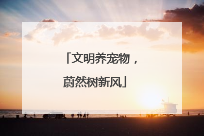 文明养宠物,蔚然树新风