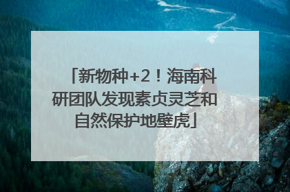 新物种+2！海南科研团队发现素贞灵芝和自然保护地壁虎