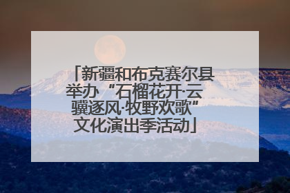 新疆和布克赛尔县举办“石榴花开·云骥逐风·牧野欢歌”文化演出季活动
