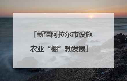新疆阿拉尔市设施农业“棚”勃发展