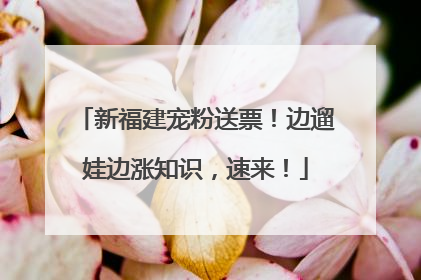 新福建宠粉送票！边遛娃边涨知识，速来！
