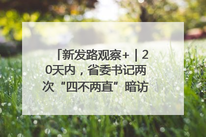 新发路观察+｜20天内，省委书记两次“四不两直”暗访，有何深意？