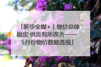 新华全媒+｜物价总体稳定 供需有所改善——5月份物价数据透视
