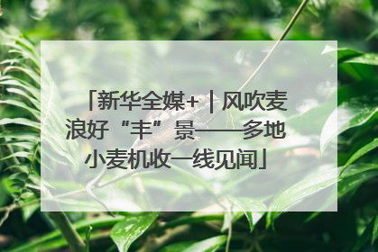 新华全媒+｜风吹麦浪好“丰”景——多地小麦机收一线见闻