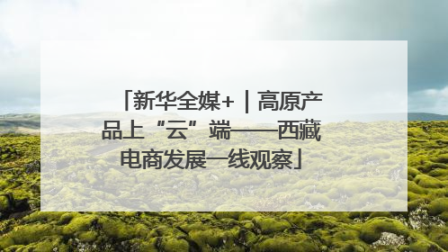 新华全媒+｜高原产品上“云”端——西藏电商发展一线观察