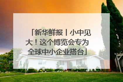 新华鲜报丨小中见大！这个博览会专为全球中小企业搭台