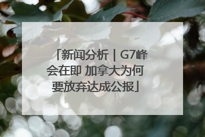 新闻分析｜G7峰会在即 加拿大为何要放弃达成公报
