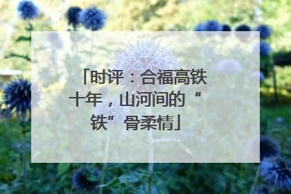 时评：合福高铁十年，山河间的“铁”骨柔情