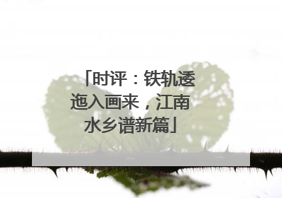 时评：铁轨逶迤入画来，江南水乡谱新篇