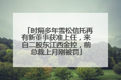 时隔多年雪松信托再有新董事获准上任，来自二股东江西金控，前总裁上月刚被罚