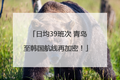 日均39班次 青岛至韩国航线再加密！