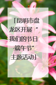 昆明市盘龙区开展“我们的节日·端午节”主题活动