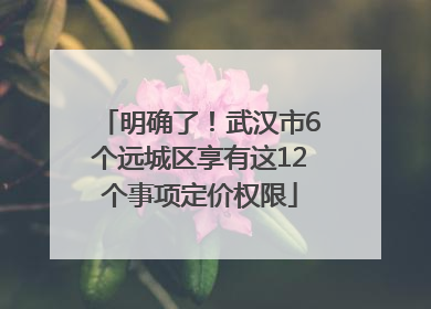 明确了！武汉市6个远城区享有这12个事项定价权限