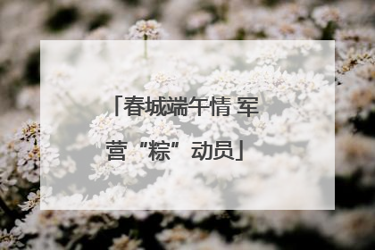 春城端午情 军营“粽”动员