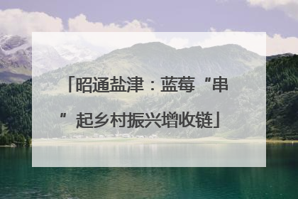 昭通盐津：蓝莓“串”起乡村振兴增收链