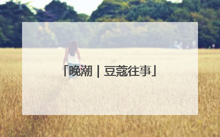 晚潮｜豆蔻往事