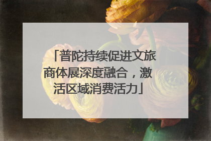 普陀持续促进文旅商体展深度融合，激活区域消费活力
