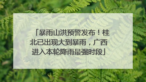 暴雨山洪预警发布！桂北已出现大到暴雨，广西进入本轮降雨最强时段