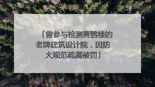 曾参与检测黄鹤楼的老牌建筑设计院，因防火规范疏漏被罚