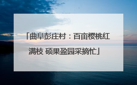 曲阜彭庄村：百亩樱桃红满枝 硕果盈园采摘忙