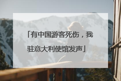 有中国游客死伤，我驻意大利使馆发声