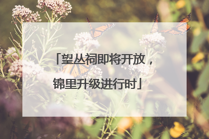 望丛祠即将开放，锦里升级进行时