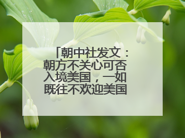 朝中社发文：朝方不关心可否入境美国，一如既往不欢迎美国人入境朝鲜